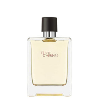 Hermes Terre D'hermes Eau De Toilette Spray 100ml