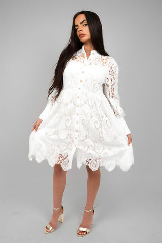 Button Up Lace Long Sleeve Mini Dress