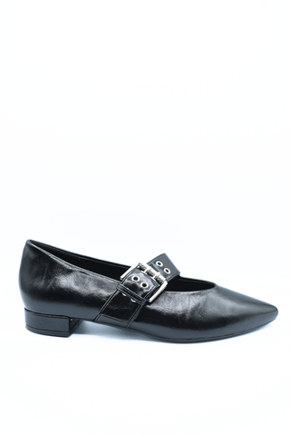 Low Heel Buckle Eyelet Strap Pointed Flat Shoes
