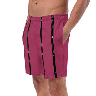 On Set Stripe Logo Shorts - Berry Mr Photogenic