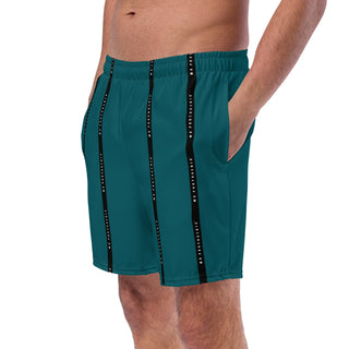 On Set Stripe Logo Shorts - Teal Mr Photogenic