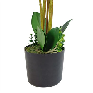 85cm Artificial Deluxe Bush Orchid White